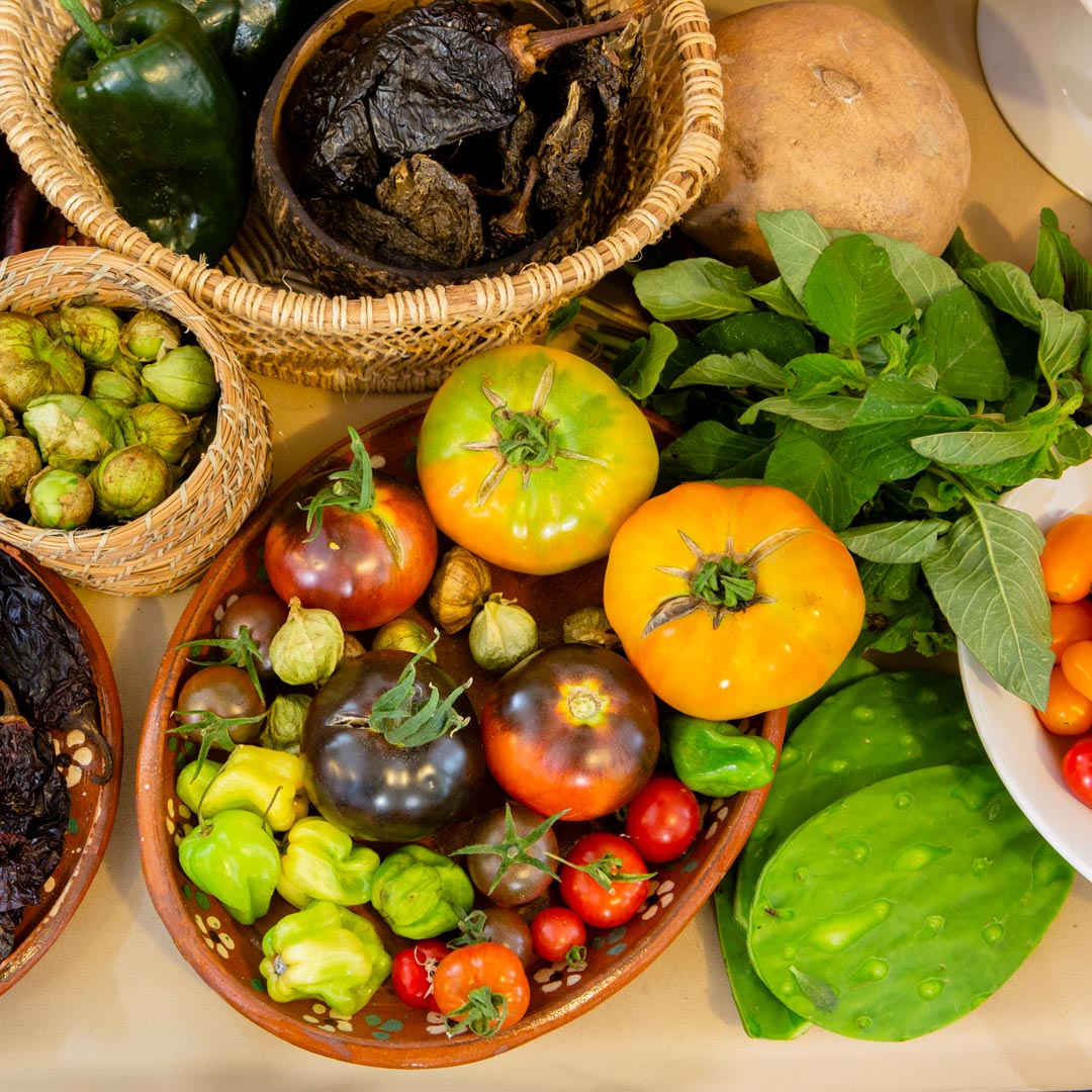 3-EN-HORAS,-CONOCERÁS-TODA-L-A-RIQUEZA-QUE-TIENE-MÉXICO